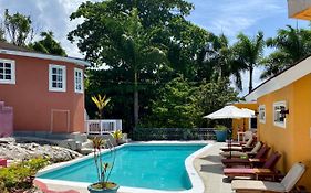 The Blue Orchid B&B